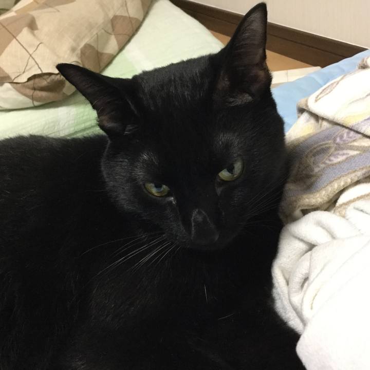 9e760fbb c7b5 40aa 9103 ca8836e85a01