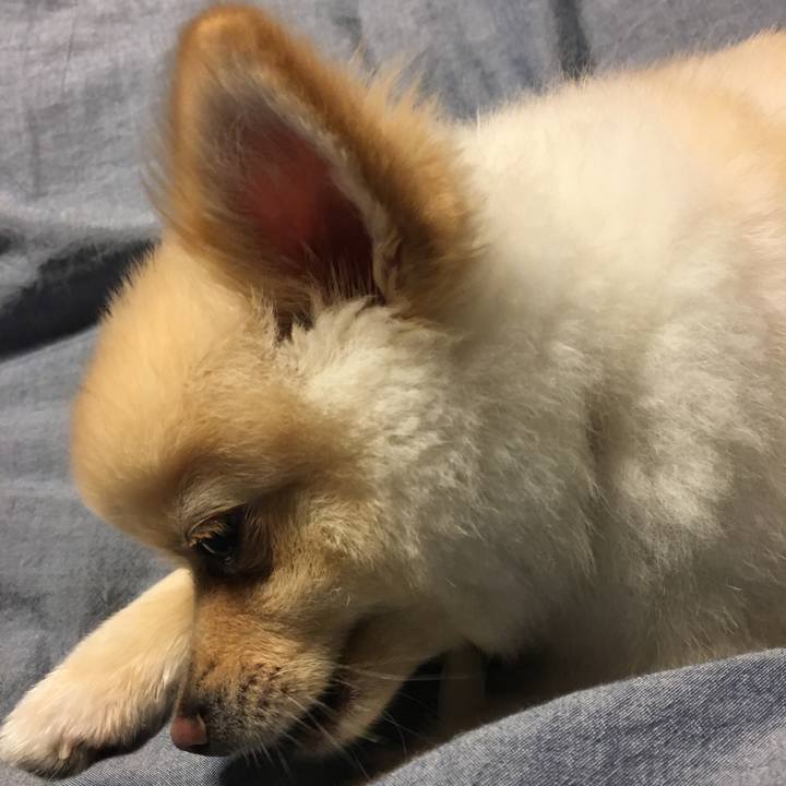 9e768c82 1401 4c17 b36e 19cff7d404b4