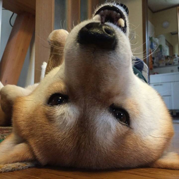 9e76abce efe8 45ff b3b4 94836daf5347