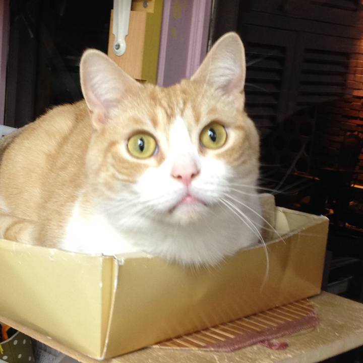 9e77d9af 6c17 4554 b46e 00fb4f0d4b81