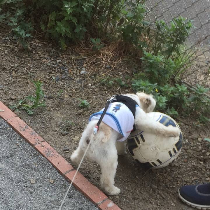 9e77db79 a4ca 4ca5 a050 5228737af846