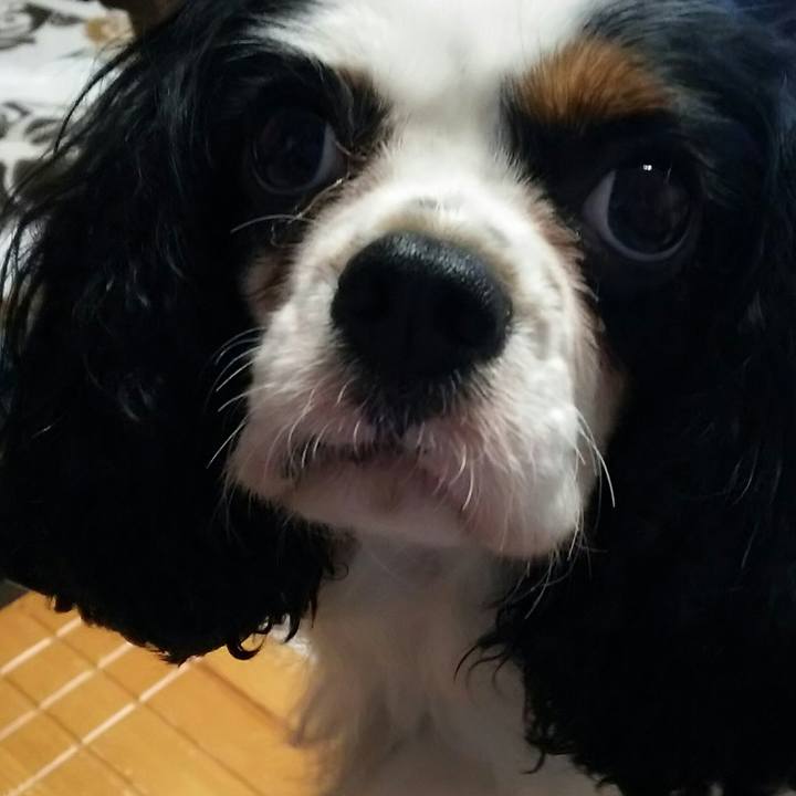 9e77f0ed a3c4 4d9e b8ae 289bdba0c88f