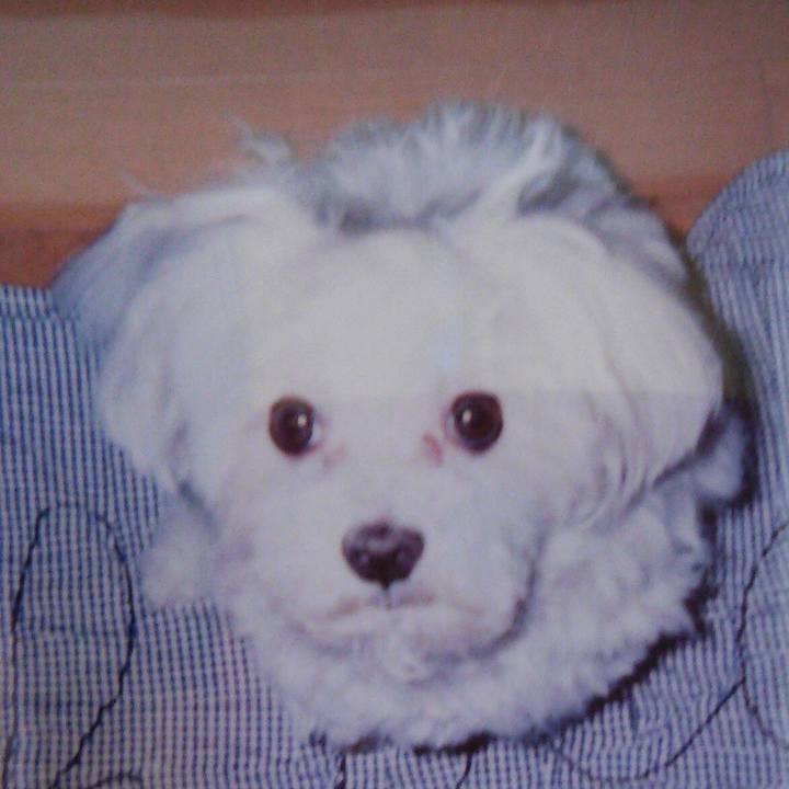 9e78b047 7cf6 47bf a22f 037aaecc3313