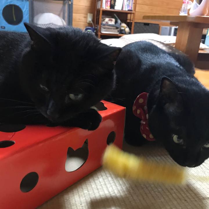 9e78c3b3 7554 4a78 8e5e 6e32337ed7a1