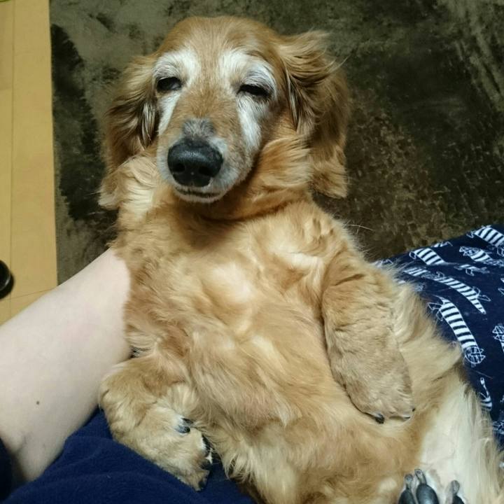 9e78cb74 f190 40b3 9464 fc58eb63c4b6