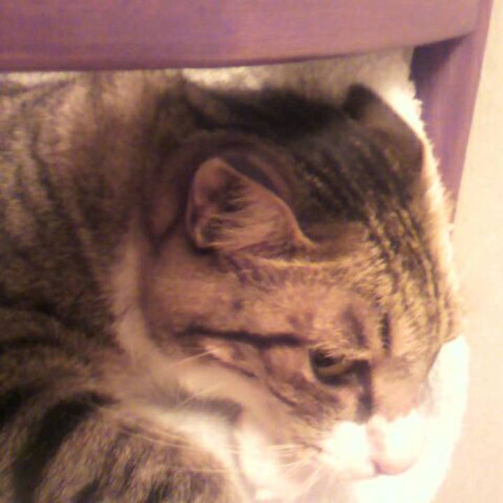 9e7914b0 9795 4ab3 b257 13042a90bee5