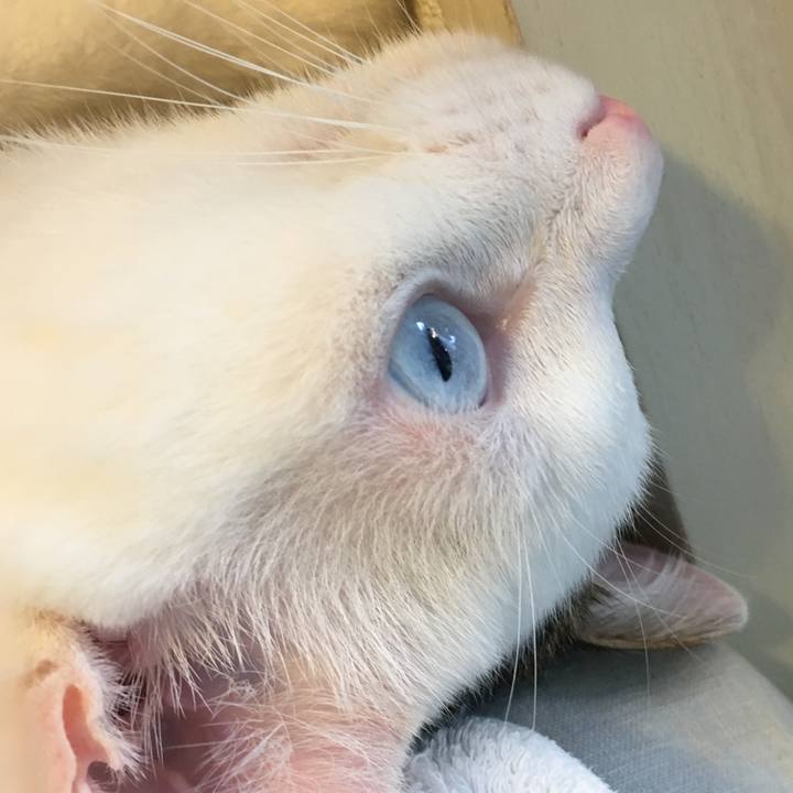 9e79e92f 47e3 460e 8ea1 bfcf8dd10178