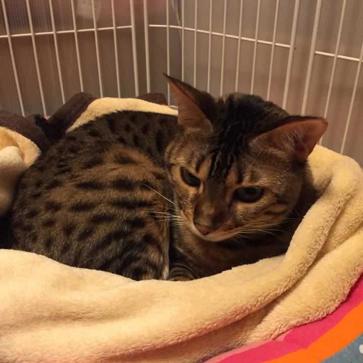 9e7a998e 338e 4e47 9ee3 f6b325bc6b9f