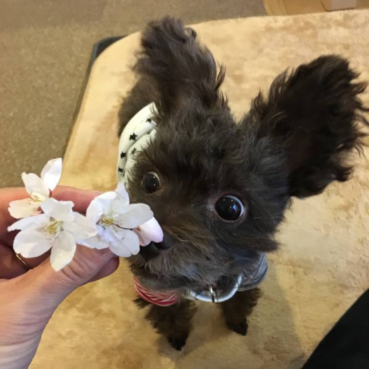 9e7abd86 933f 4bd2 a312 d451f7ec2262