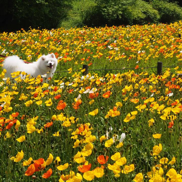 9e7b0190 76b2 464f a218 b4d55c8b9d34