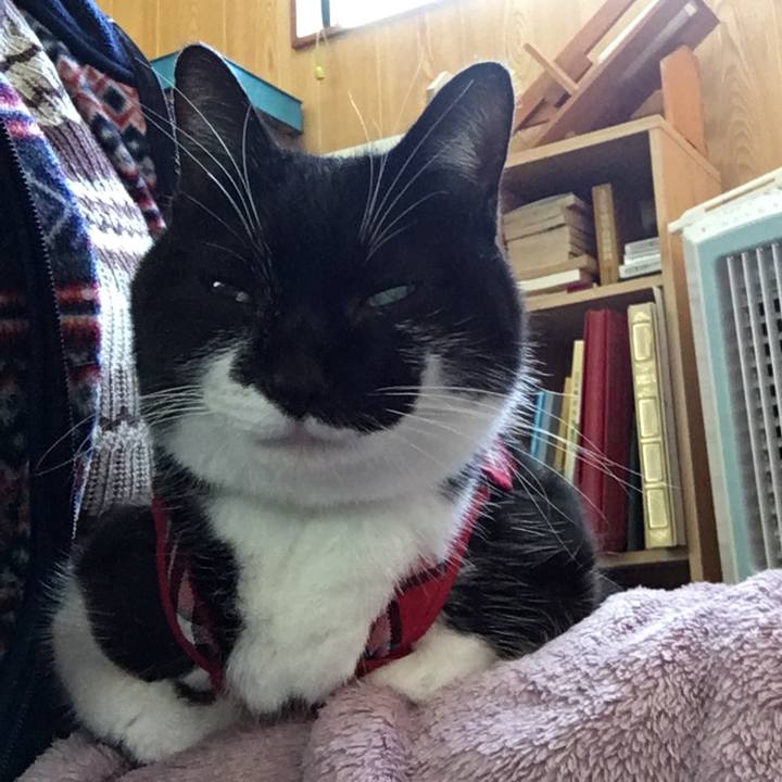 9e7b1581 6bbf 4a42 ba98 e0b3e148baac