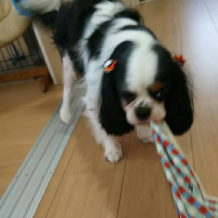 9e7b324b fa72 4de0 8f0b 0027039272ae