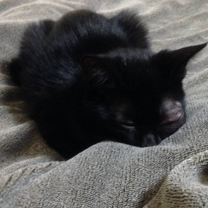 9e7c6f69 a36f 48a1 9bde f84d5ef98163