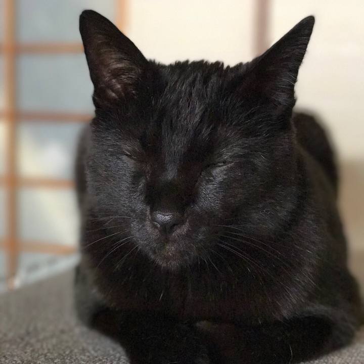 9e7cbf28 6f9a 4ea4 991c 37137eea27ad