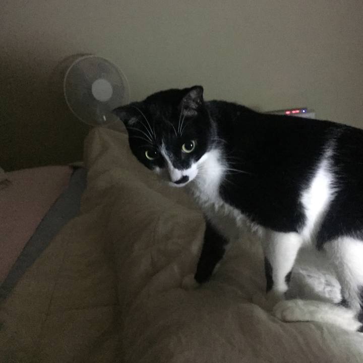 9e7cfc35 d3f0 42dc ac6f 9cbb04ae7ffa