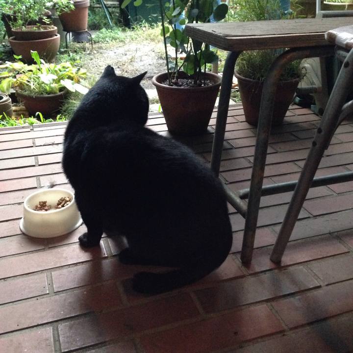 9e7d7c11 add1 4bd0 a6cc 93f2b19b0c00