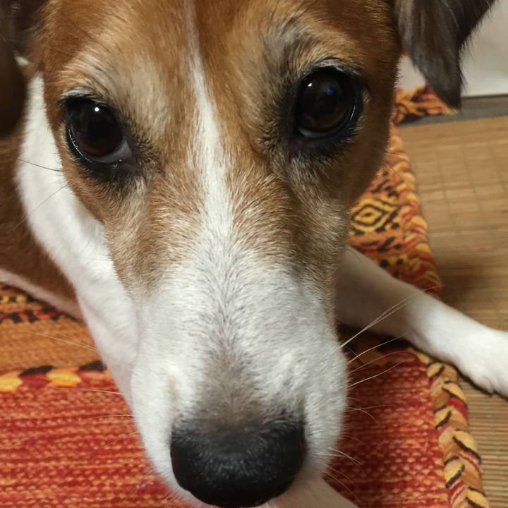 9e7d9f95 d3e5 4617 846f 7da34af48d06