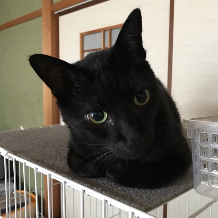 9e7e5661 d085 42cb 81be 136ed5098694