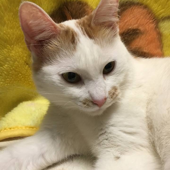 9e7ef13e 0598 4d45 843b 7068f9b17fb7