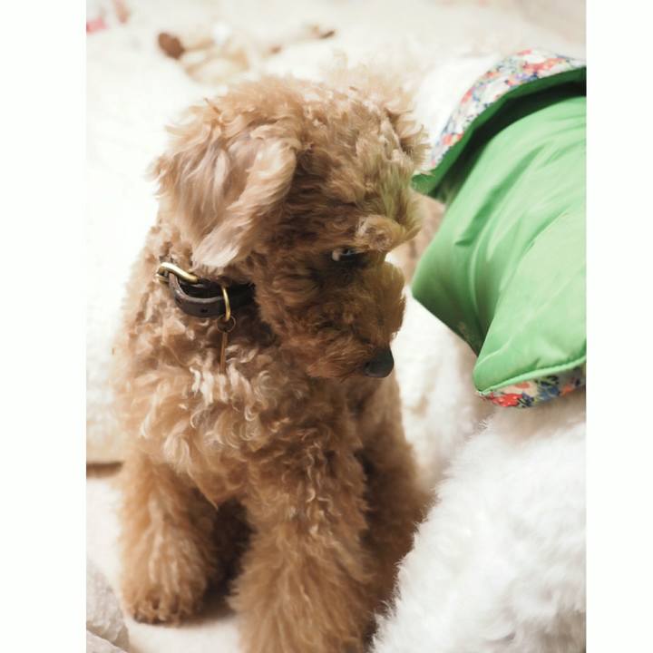 9e7f1c7d baf1 4e7f 9032 70d3309e17da