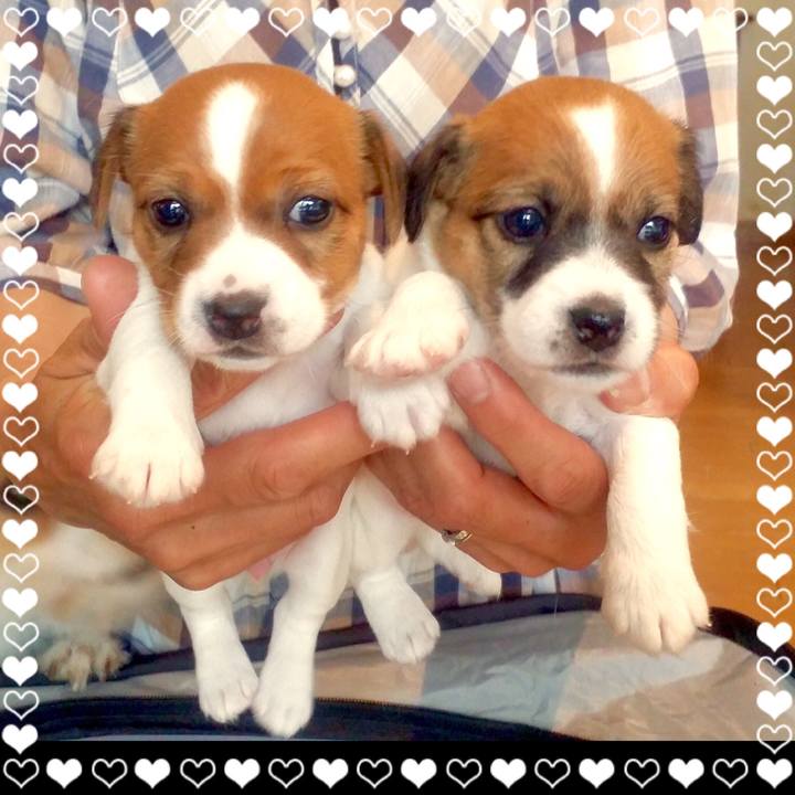 9e7f8efa a98b 46d3 a925 7566f8afb0aa