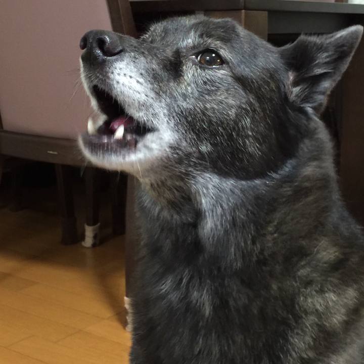 9e7fd7fc 2960 4d02 ac96 2a2eea5b9d2d