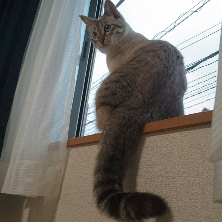 9e80178b 7e45 4046 ae0f 229d8c1a911f