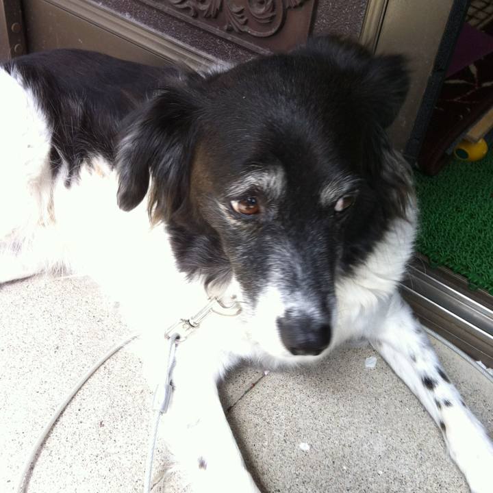 9e8078c5 c764 4912 8b12 40002274495d