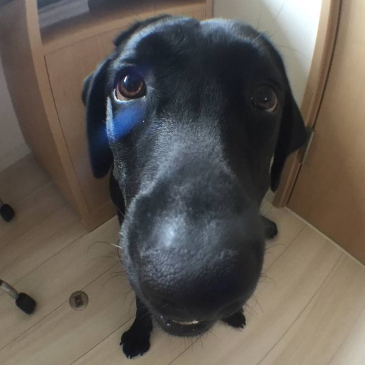 9e80d140 6c43 43fd b739 1c1befebc313