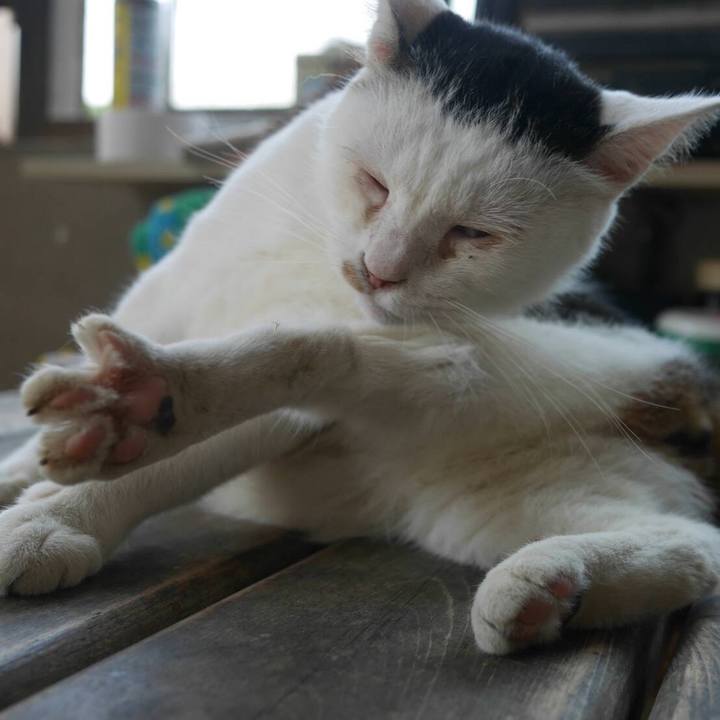 9e80f312 c4bb 4714 842d fadae9360701