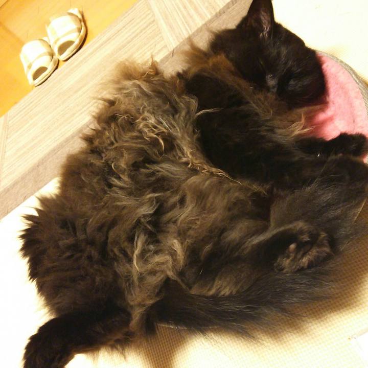 9e81480a ebb9 4796 9e69 b9761379f137