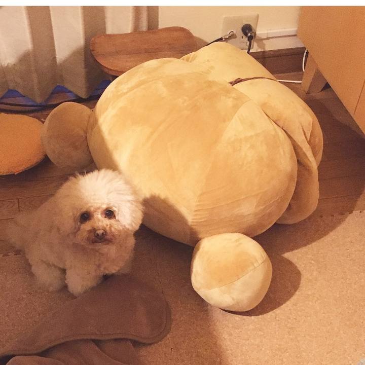 9e81d2c9 a8b2 4e4c 978a 37578467ef7b