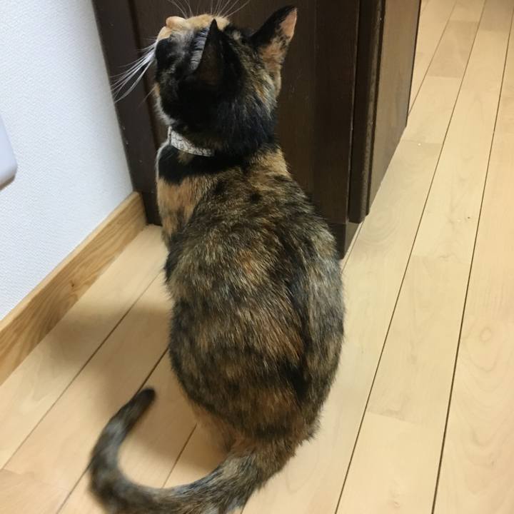 9e81f17c 8bb8 4b8f 87c2 0ebd48bb67fe