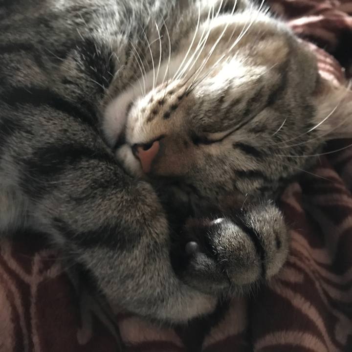 9e820549 abc2 49c4 9041 f3c0917d6c6b