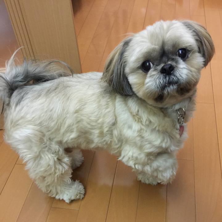 9e82e7de 8c5e 4ca5 99aa be2b8bf6f15d