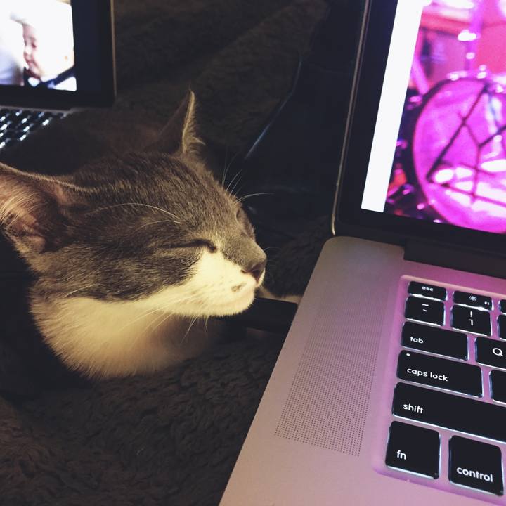 9e83157a 521c 483a 8768 600a146d53ca