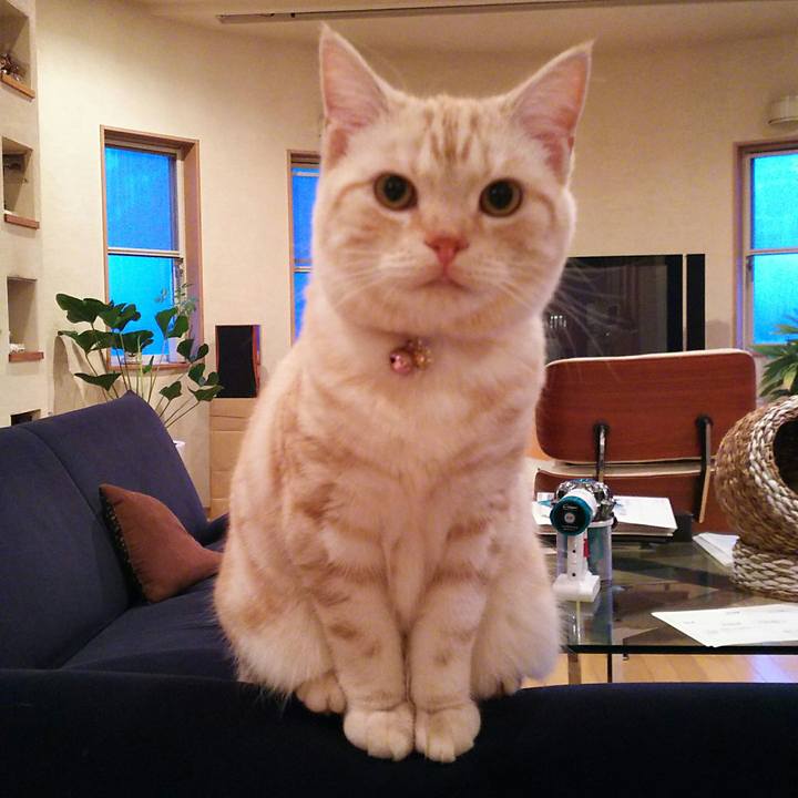 9e83f8cf b91c 4fe4 8e42 3698808fad62