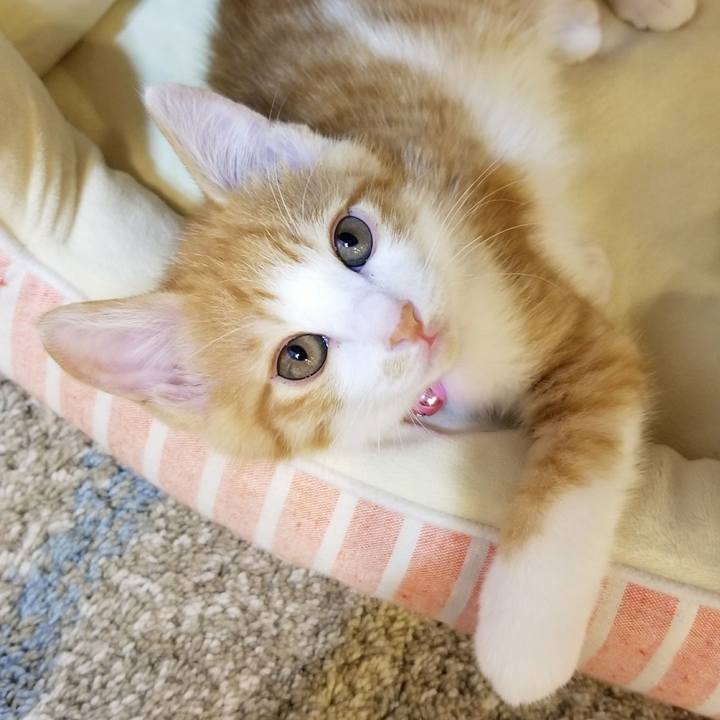 9e8555f9 3cff 48e4 a3c5 d24a7651f10c