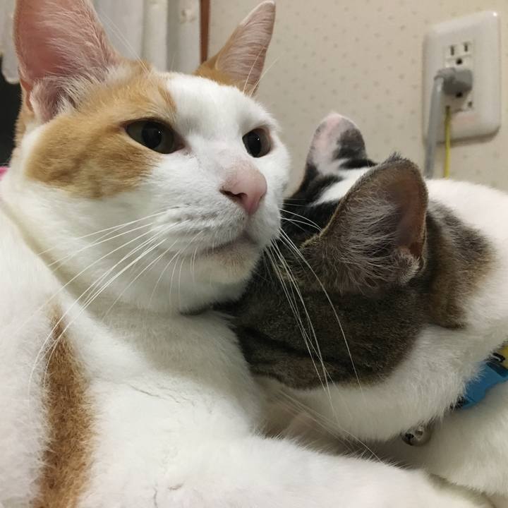 9e85908c 590f 4aa1 86e8 62f75126bf1a