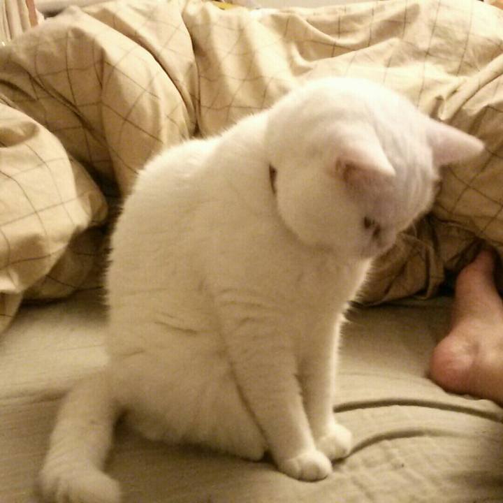 9e85c743 65e5 4aa1 926c 04dd16a5c5b5