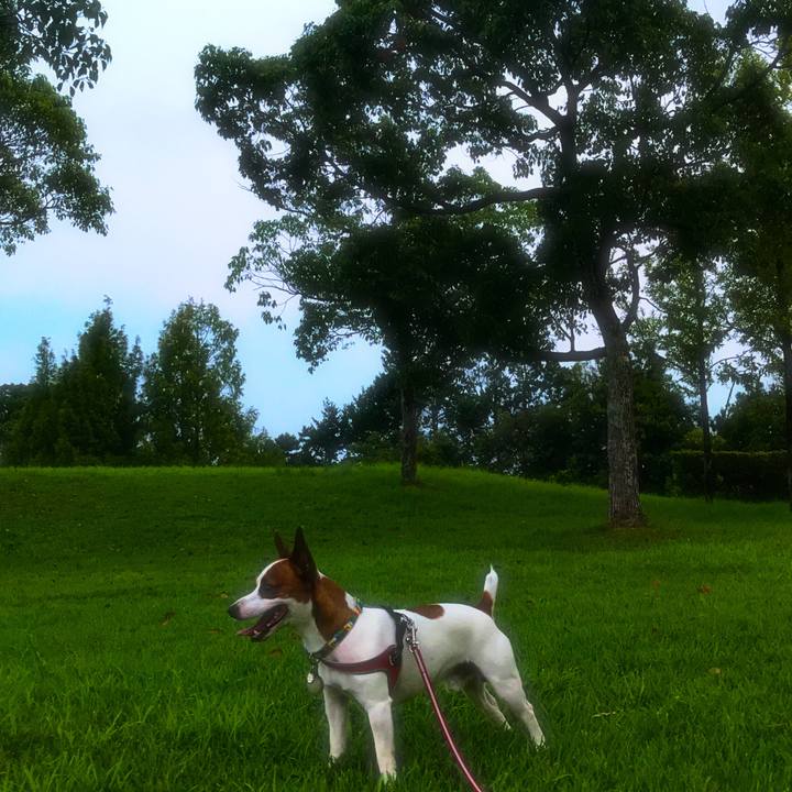 9e85f994 e32f 4d52 bd74 8149ac0c76c8