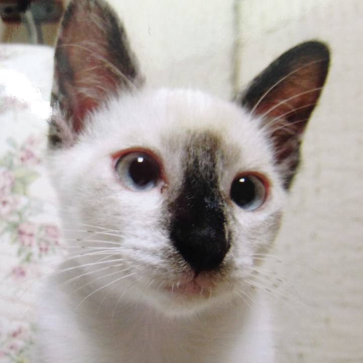 9e863b77 d57a 4c8c acc2 f3459d0be1c7