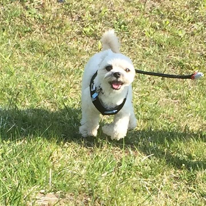 9e86bd30 4f43 4ac6 8093 dd3380104862