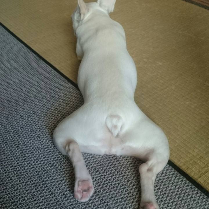 9e86c6ea 9772 43e1 9b80 0a03d4e505c5