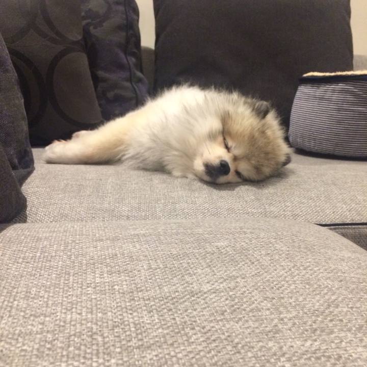 9e8857d7 5800 4a28 aa30 4d24c2571402