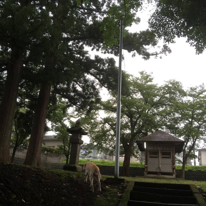 9e88796a ad6d 47aa 8b69 481cad29cb31