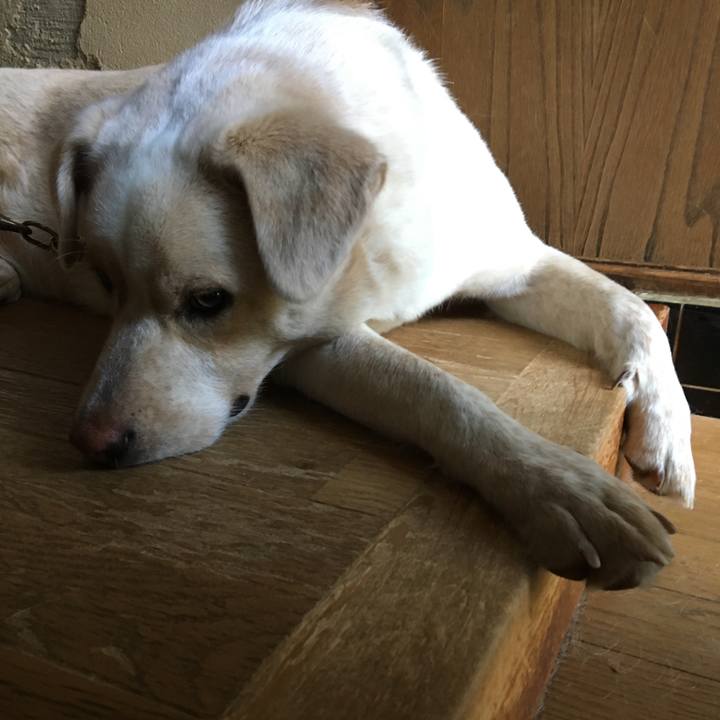 9e88d75a 4759 4ab3 9f3e 8a57a0bff997