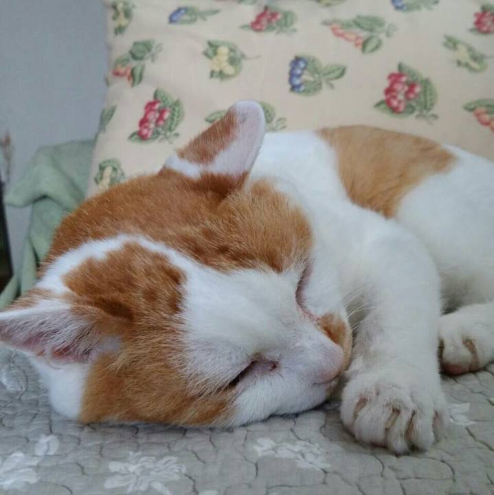 9e89d12b 0203 437f a3d9 1d992e68d100