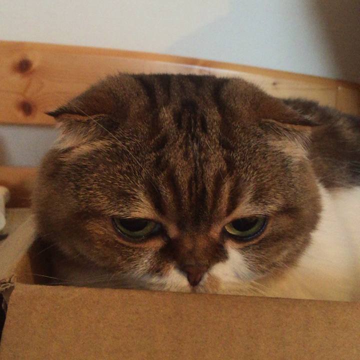 9e89f065 fff0 458f ba2d 03ad6b3fb44b