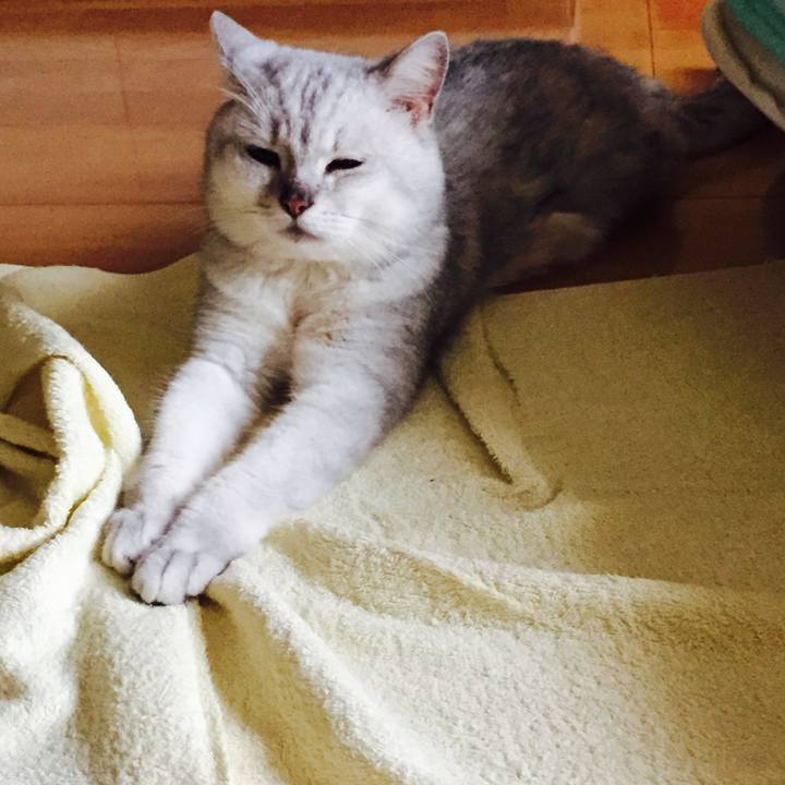 9e8a4b45 47b9 4266 8943 fdaa711d2021